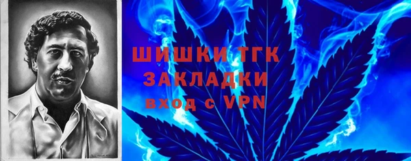 гашик Алзамай