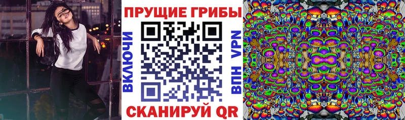 гидра   магазин продажи   Мирный  Псилоцибиновые грибы прущие грибы 